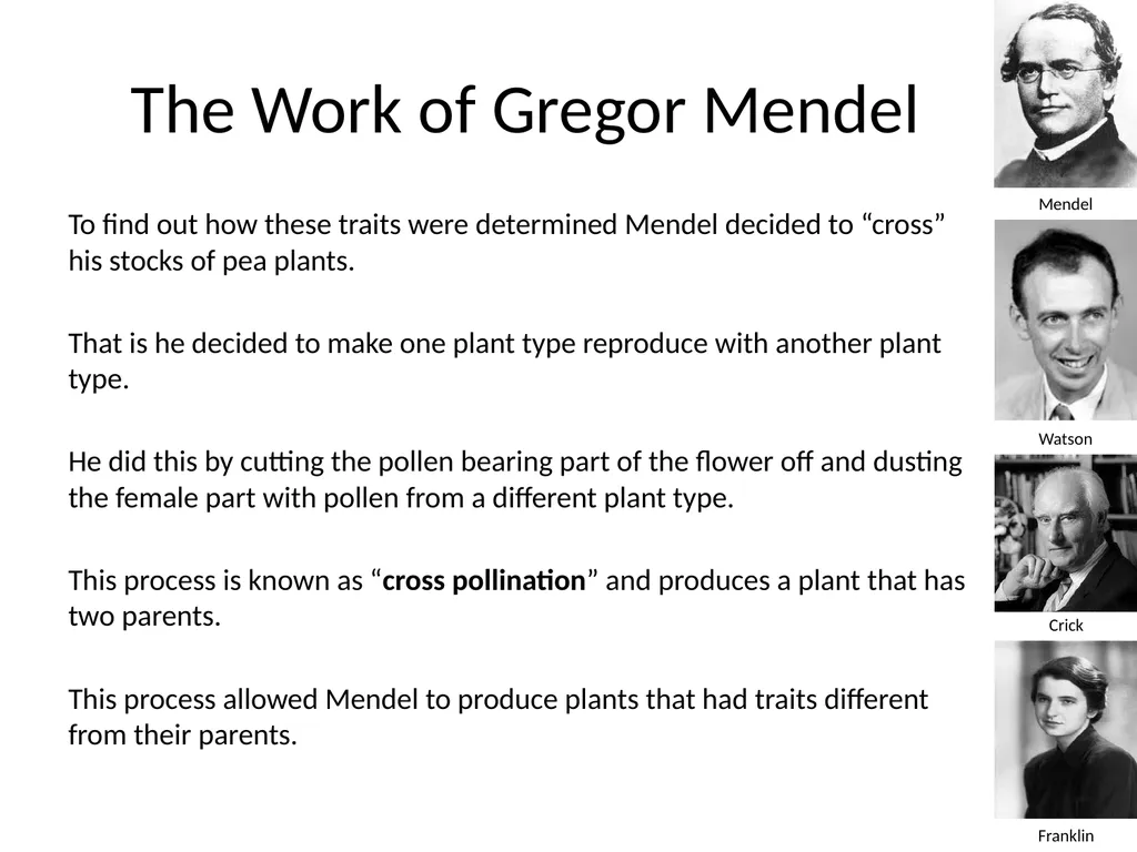 Introduction to Genetics Chapter 11.1 Heredity and - slide 9 of 20