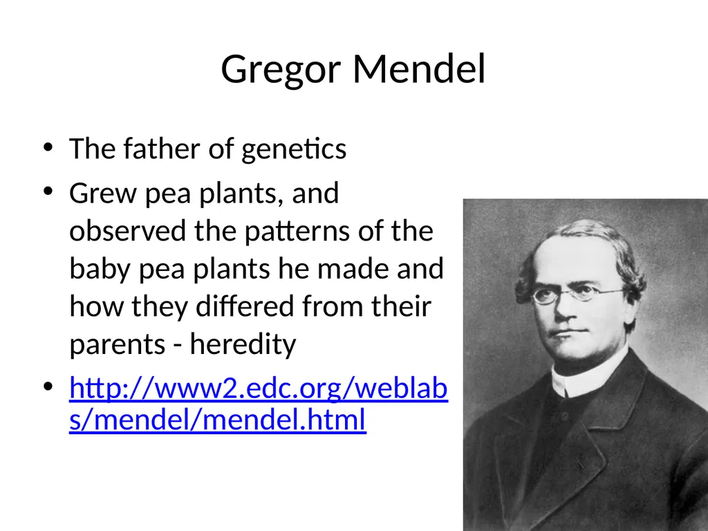 Gregor Mendel The father of genetics Grew pea - slide 1 of 20