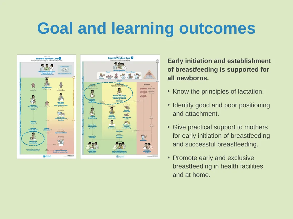 Breastfeeding: Ensuring a good start - slide 3 of 44