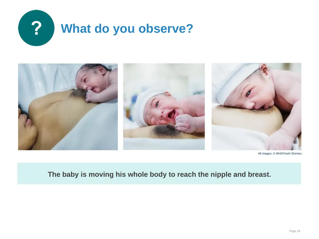 Breastfeeding: Ensuring a good start - slide 19 of 44