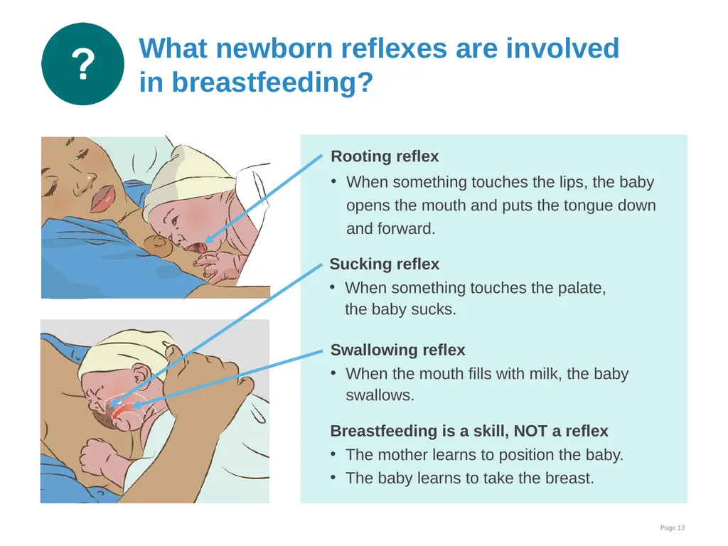 Breastfeeding: Ensuring a good start - slide 13 of 44