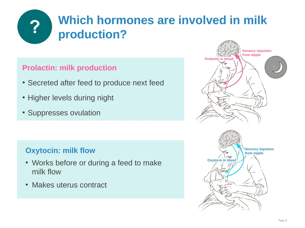 Breastfeeding: Ensuring a good start - slide 9 of 44
