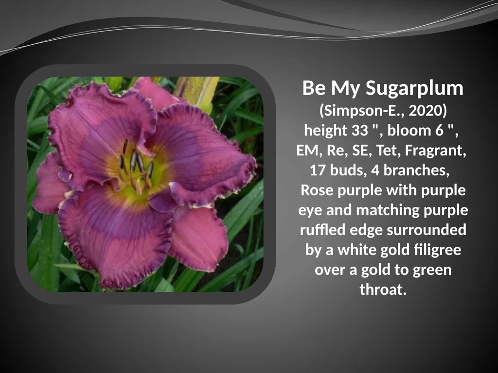 2026 AUCTION PROGRAM Be My Sugarplum (Simpson-E., - slide 2 of 45