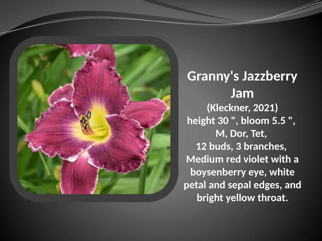2026 AUCTION PROGRAM Be My Sugarplum (Simpson-E., - slide 16 of 45