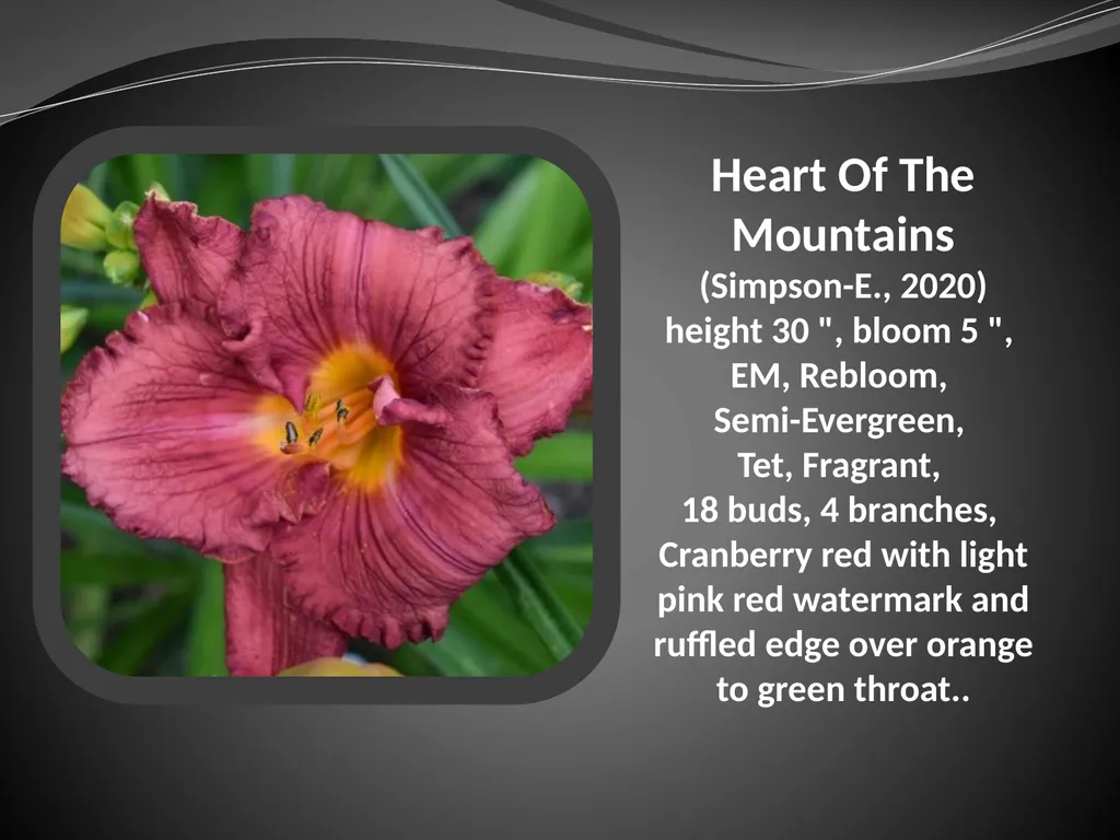 2026 AUCTION PROGRAM Be My Sugarplum (Simpson-E., - slide 17 of 45