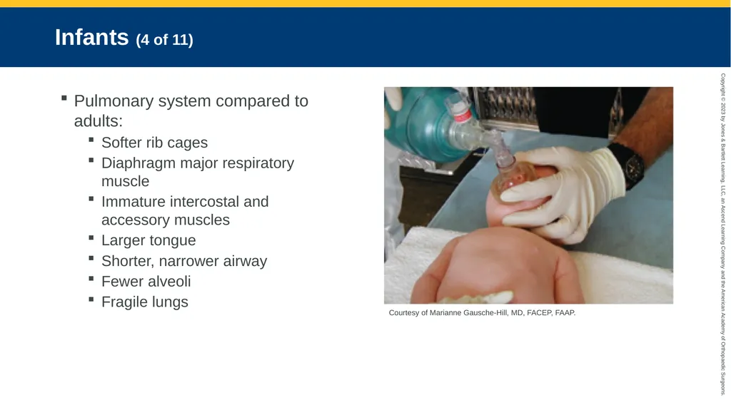 Life Span Development CHAPTER 10 Introduction - slide 6 of 44