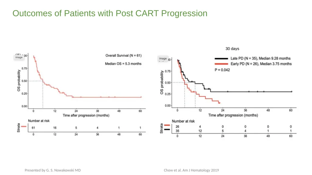 Diffuse Large B-cell Lymphoma November 10, 2021 - slide 53 of 71