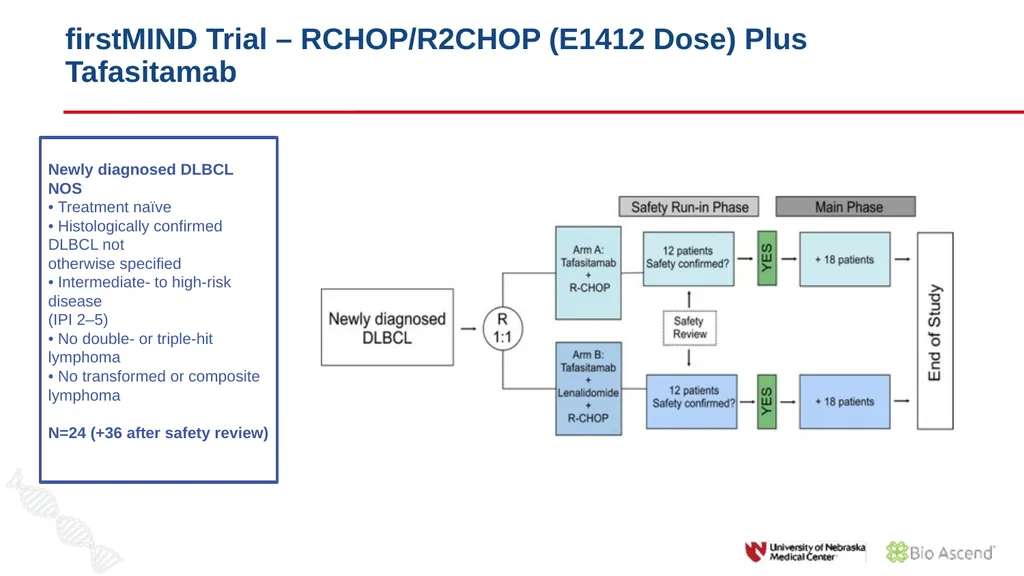 Diffuse Large B-cell Lymphoma November 10, 2021 - slide 24 of 71