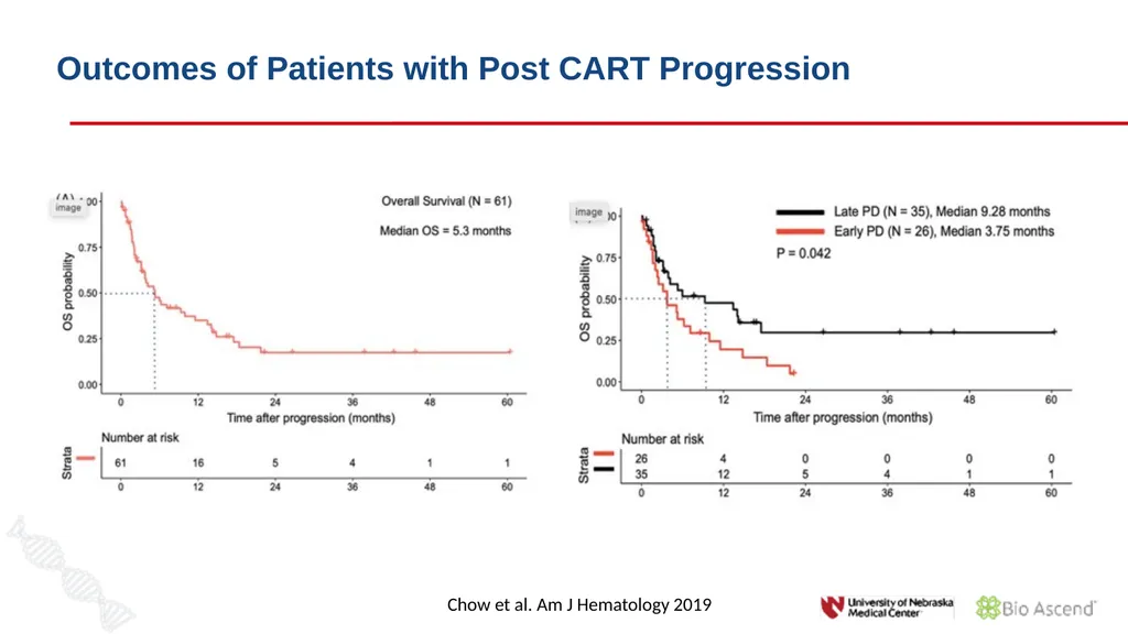 Diffuse Large B-cell Lymphoma November 10, 2021 - slide 52 of 71
