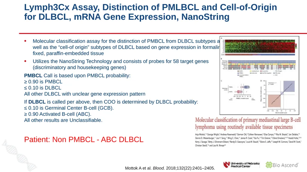 Diffuse Large B-cell Lymphoma November 10, 2021 - slide 17 of 71