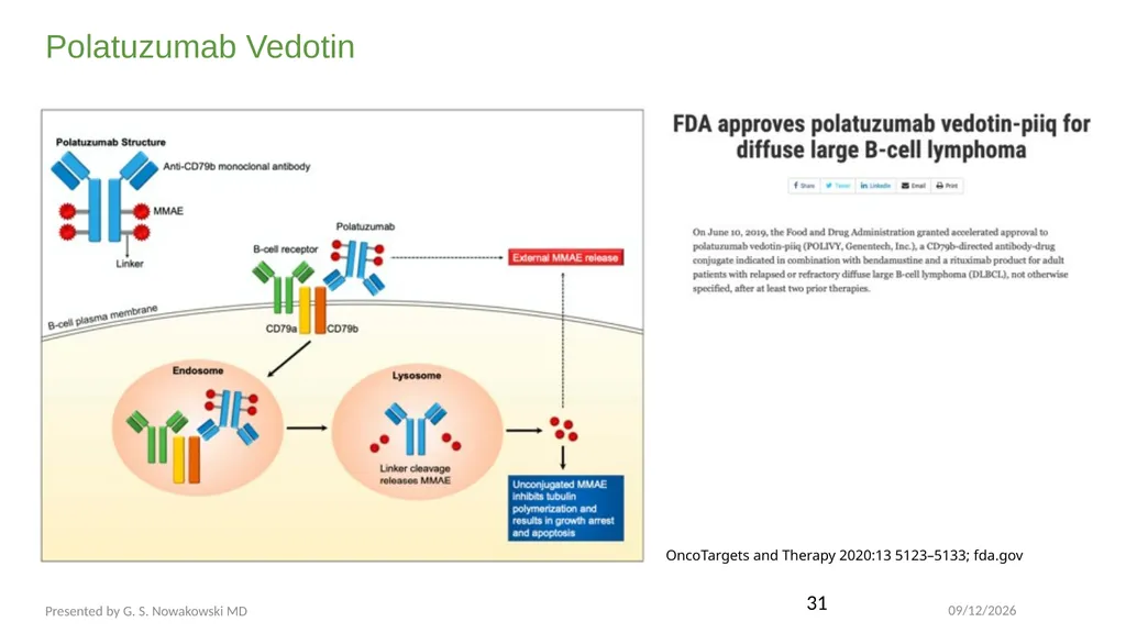 Diffuse Large B-cell Lymphoma November 10, 2021 - slide 29 of 71
