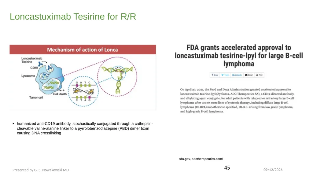 Diffuse Large B-cell Lymphoma November 10, 2021 - slide 43 of 71