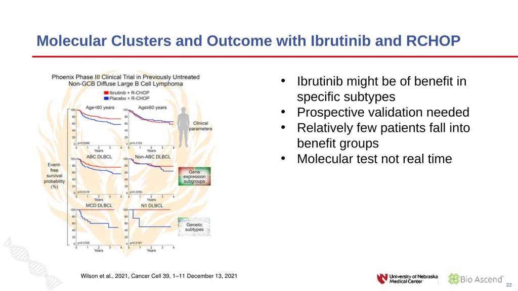 Diffuse Large B-cell Lymphoma November 10, 2021 - slide 21 of 71