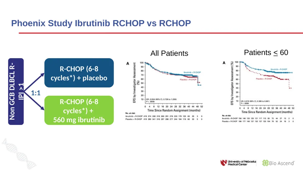 Diffuse Large B-cell Lymphoma November 10, 2021 - slide 20 of 71