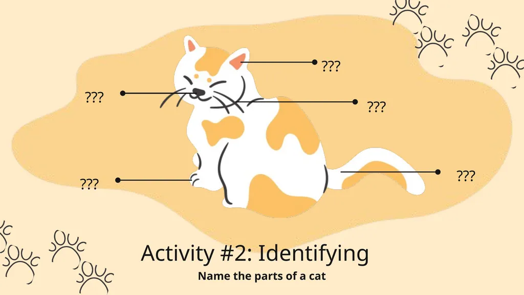 Activity Lesson Plan Education Presentation How to - slide 9 of 21