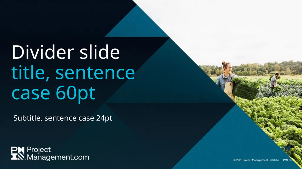 PMI Community Webinar Program Speaker PowerPoint - slide 10 of 22