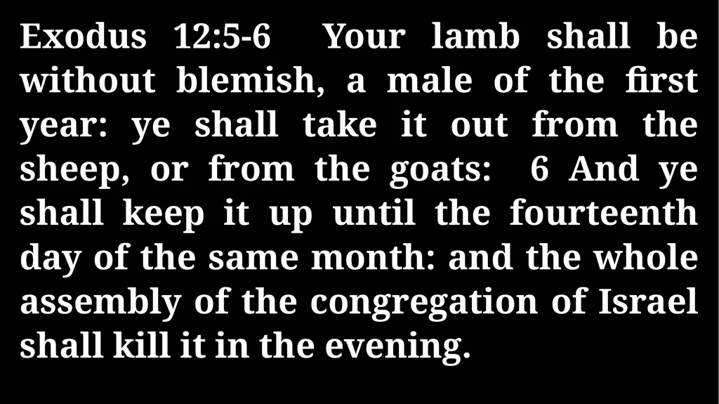 Thursday Bible Study John 12 Joshua Tapp True - slide 4 of 27