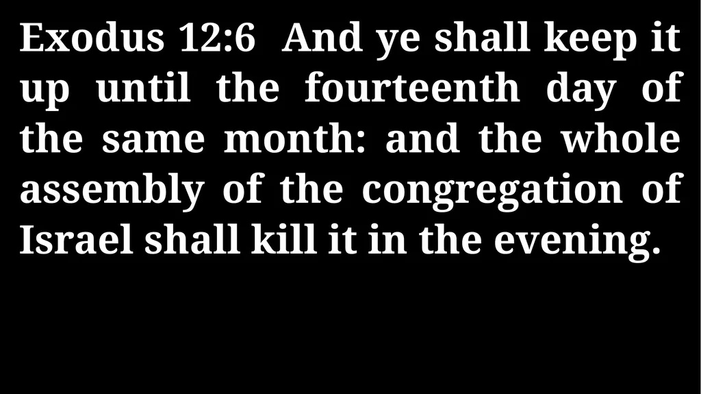 Thursday Bible Study John 12 Joshua Tapp True - slide 26 of 27