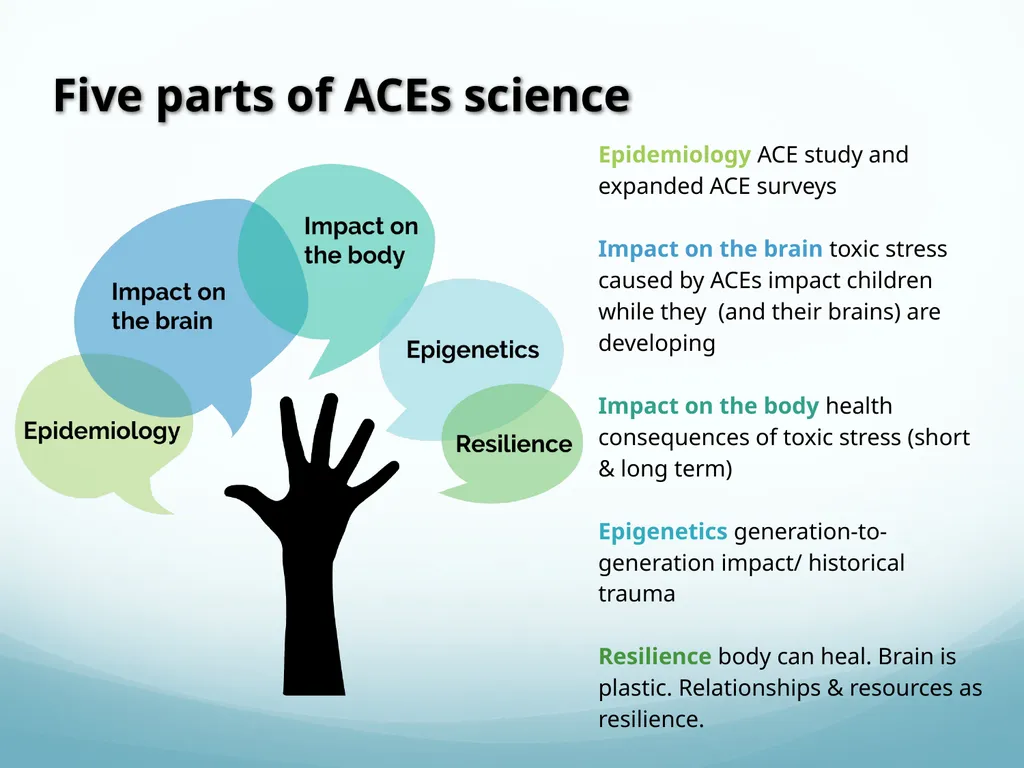 Understanding Adverse Childhood Experiences (ACEs) - slide 4 of 32