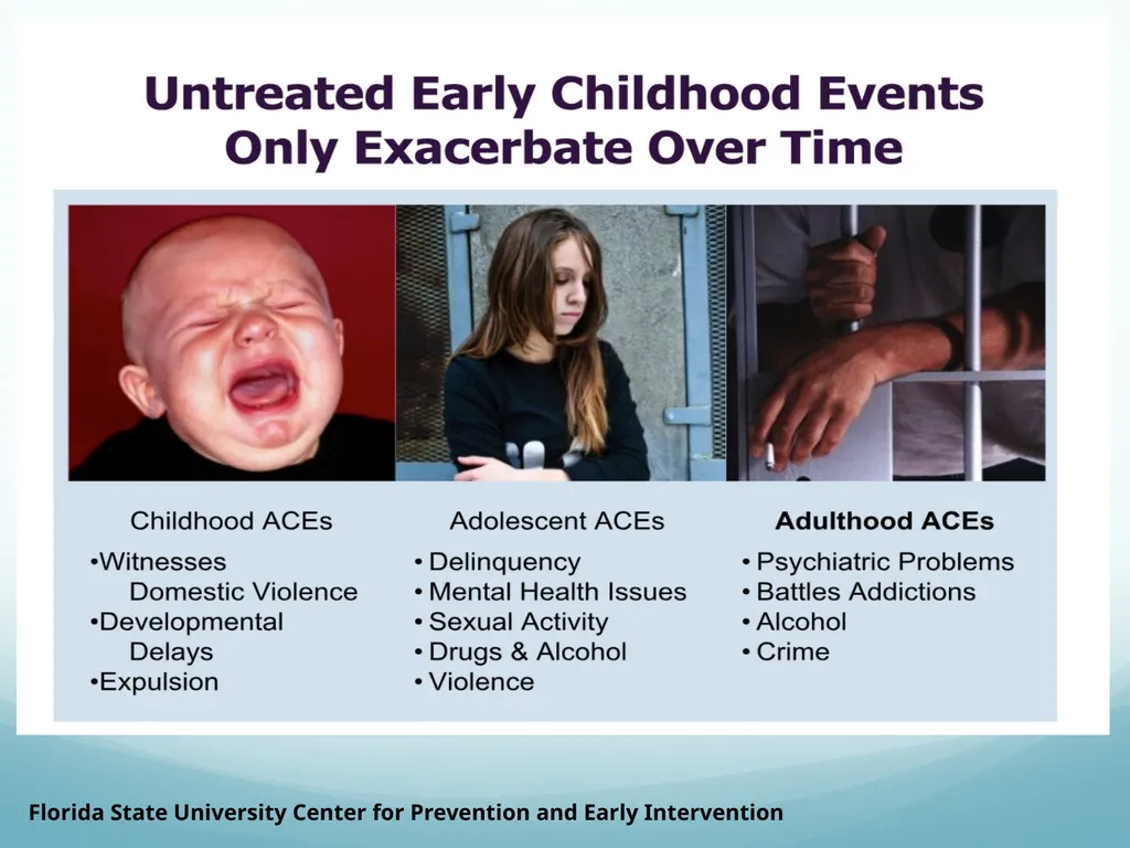 Understanding Adverse Childhood Experiences (ACEs) - slide 14 of 32