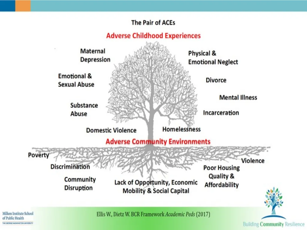Understanding Adverse Childhood Experiences (ACEs) - slide 19 of 32