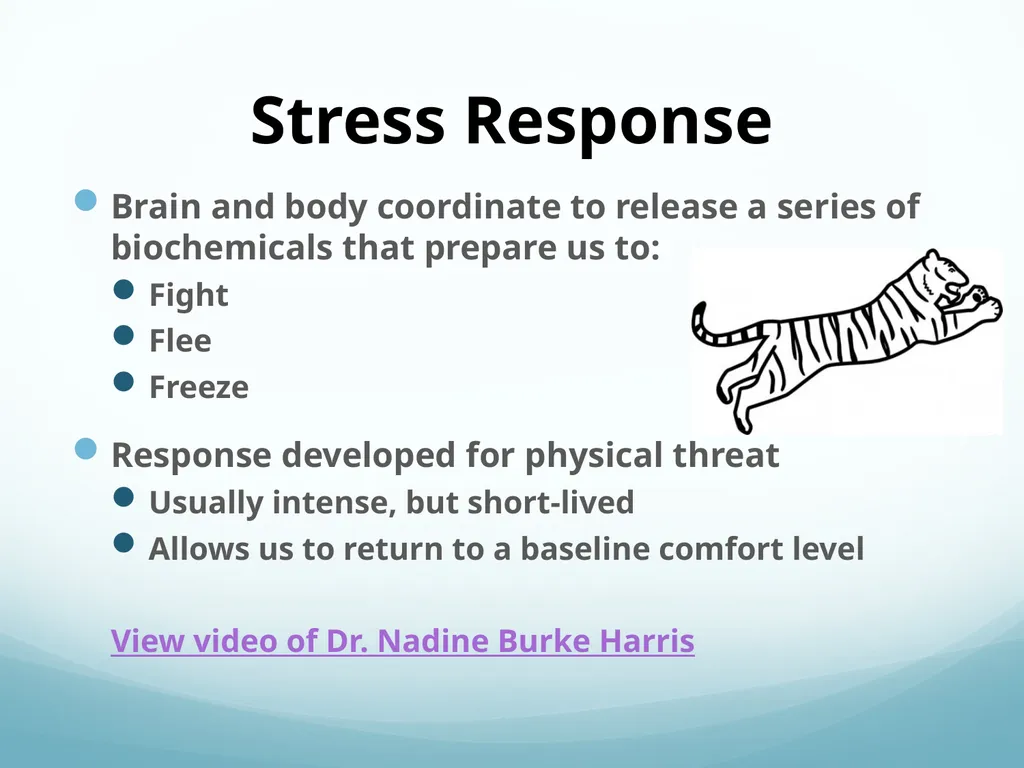 Understanding Adverse Childhood Experiences (ACEs) - slide 7 of 32