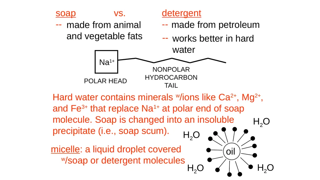 Solubility Vitamins Multi Vitamin Provides many - slide 6 of 19