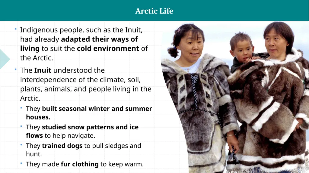 CASE STUDY Arctic Cold Environments Environment & - slide 4 of 10