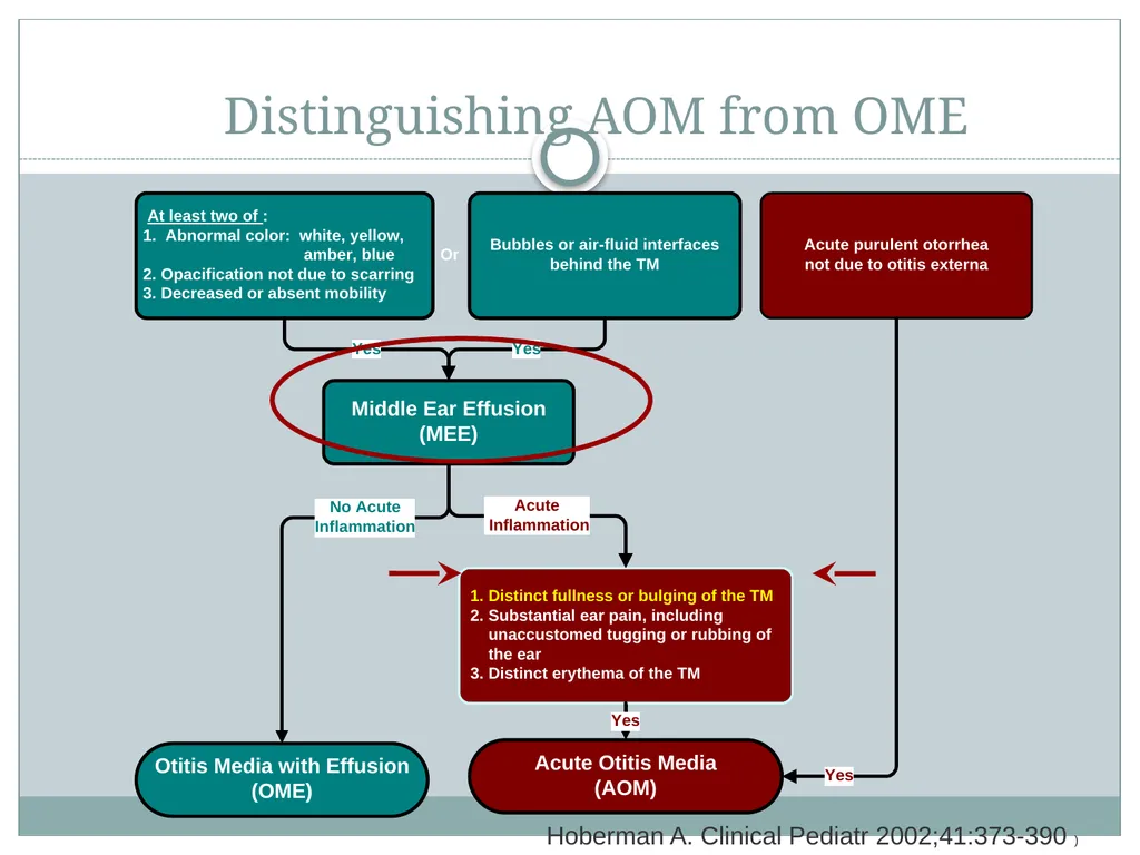 This teaching presentation for the ISOM website - slide 9 of 17