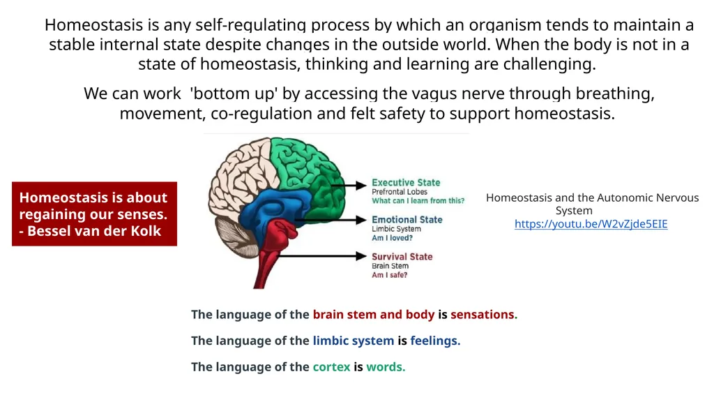 Polyvagal Theory Authored by neuroscientist Dr. - slide 9 of 14