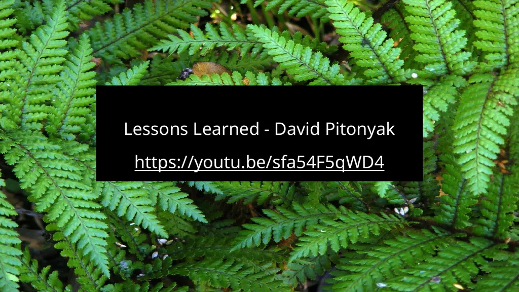 Polyvagal Theory Authored by neuroscientist Dr. - slide 14 of 14