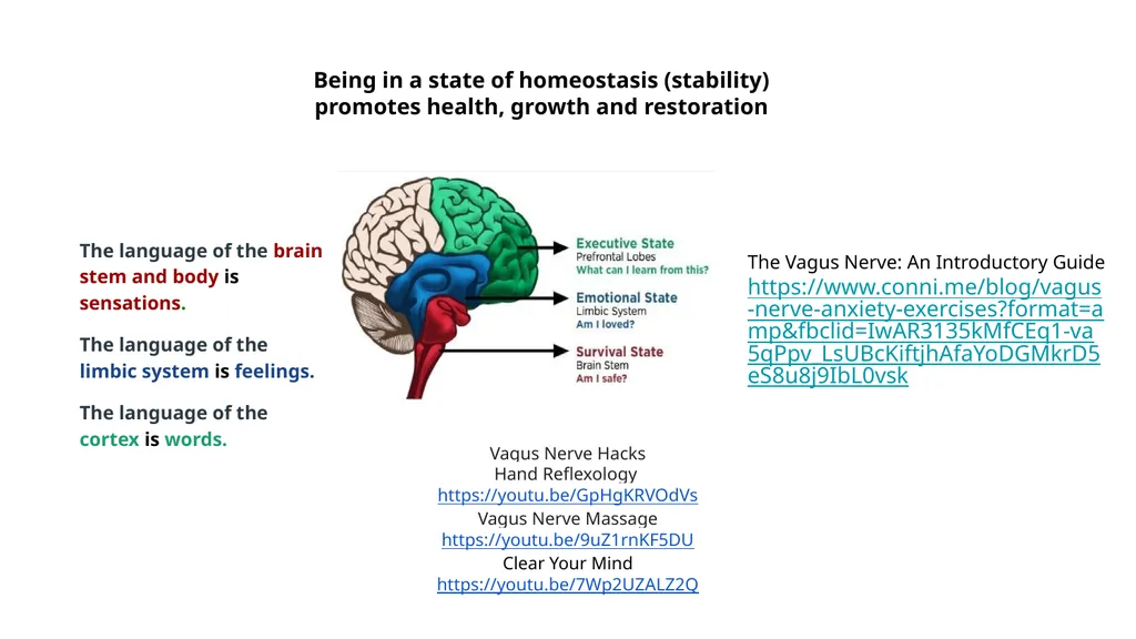 Polyvagal Theory Authored by neuroscientist Dr. - slide 7 of 14