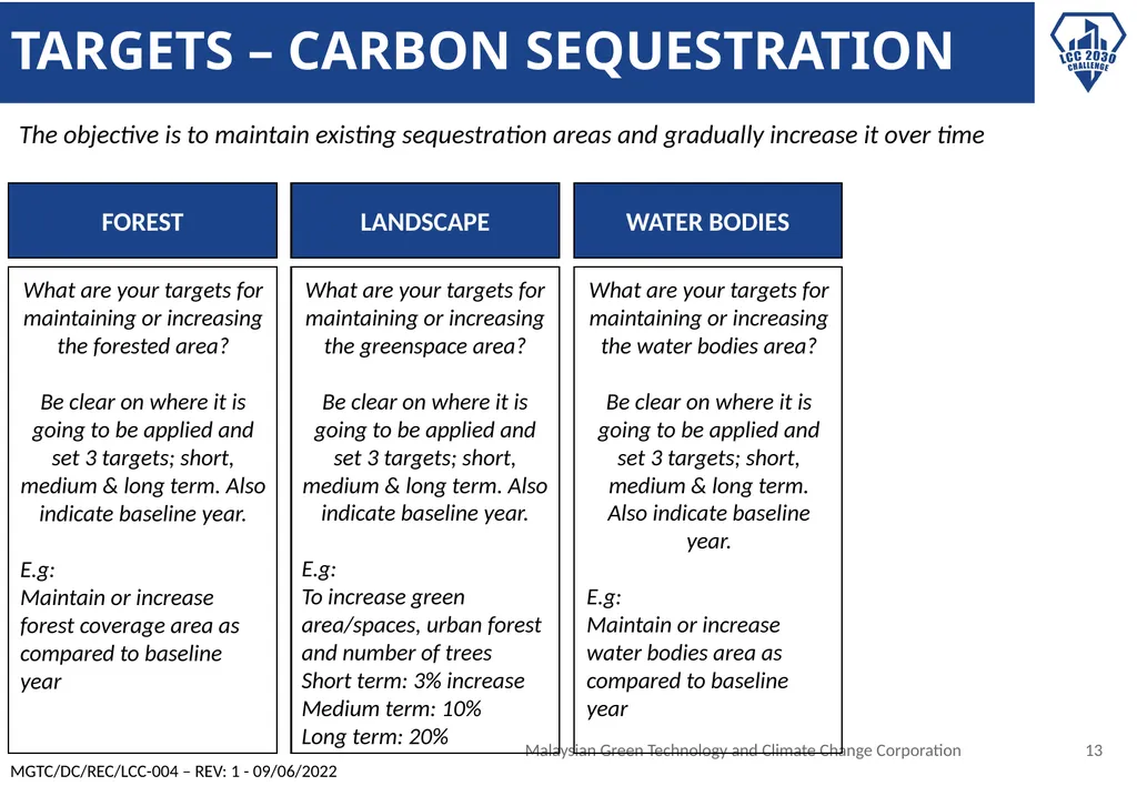 LCC BLUEPRINT IMPLEMENTATION DOCUMENT Insert logo - slide 13 of 20