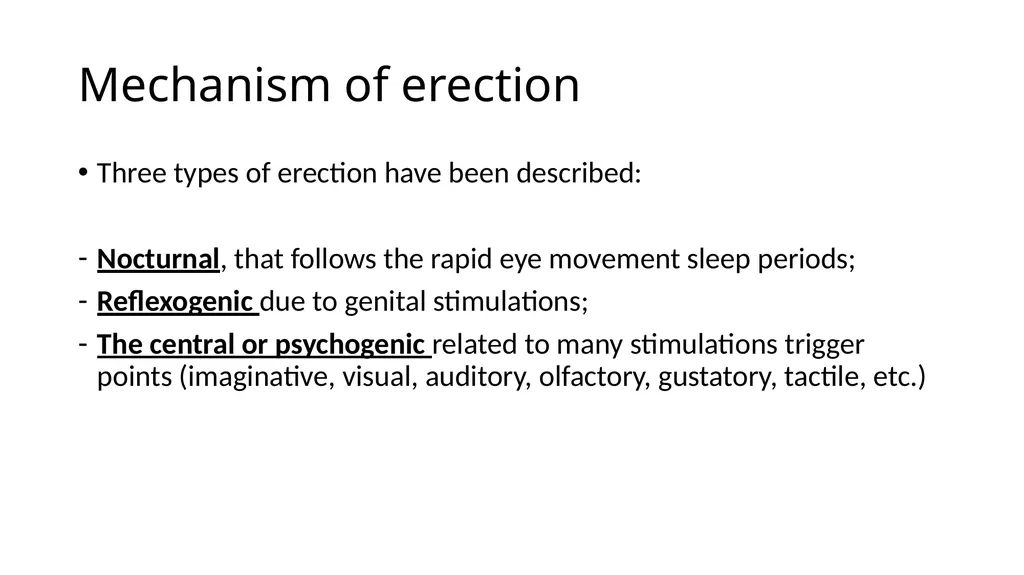 Anatomy of penis, and Physiology of erection, - slide 11 of 34