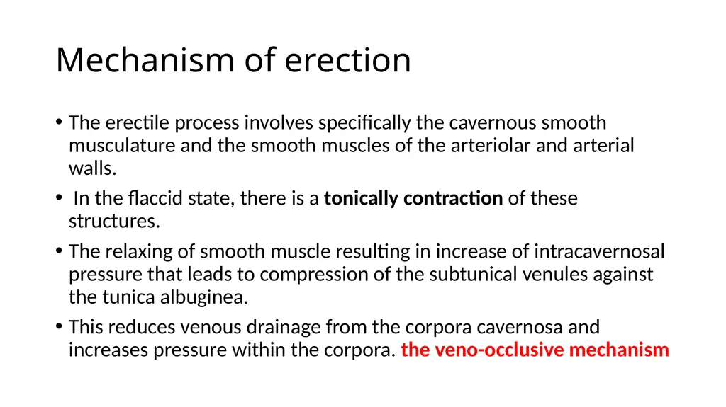 Anatomy of penis, and Physiology of erection, - slide 12 of 34