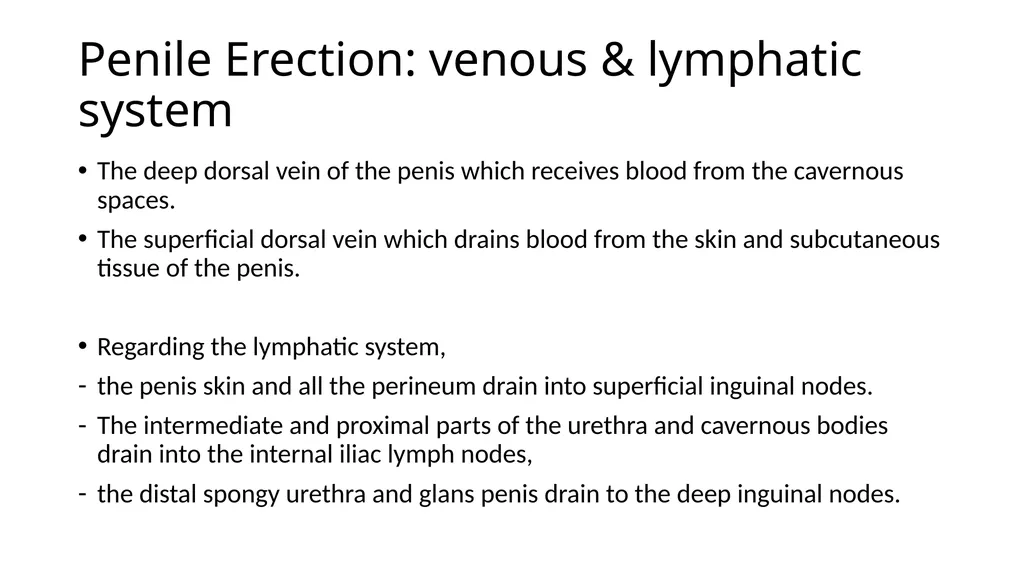 Anatomy of penis, and Physiology of erection, - slide 5 of 34