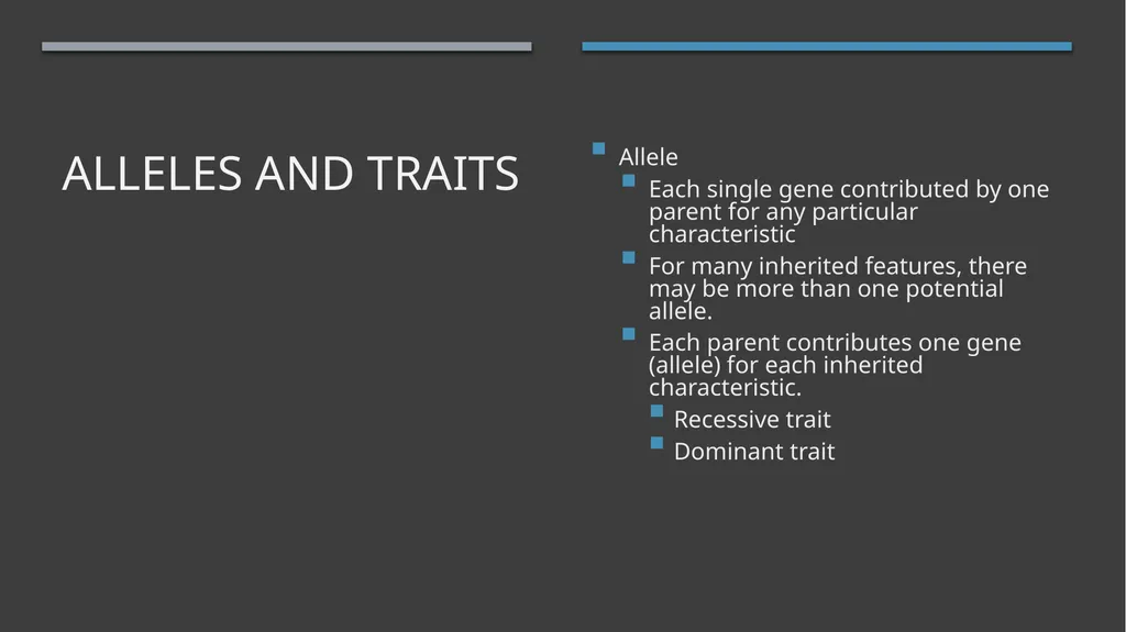 The Reproductive System and Human Genetics - slide 51 of 56