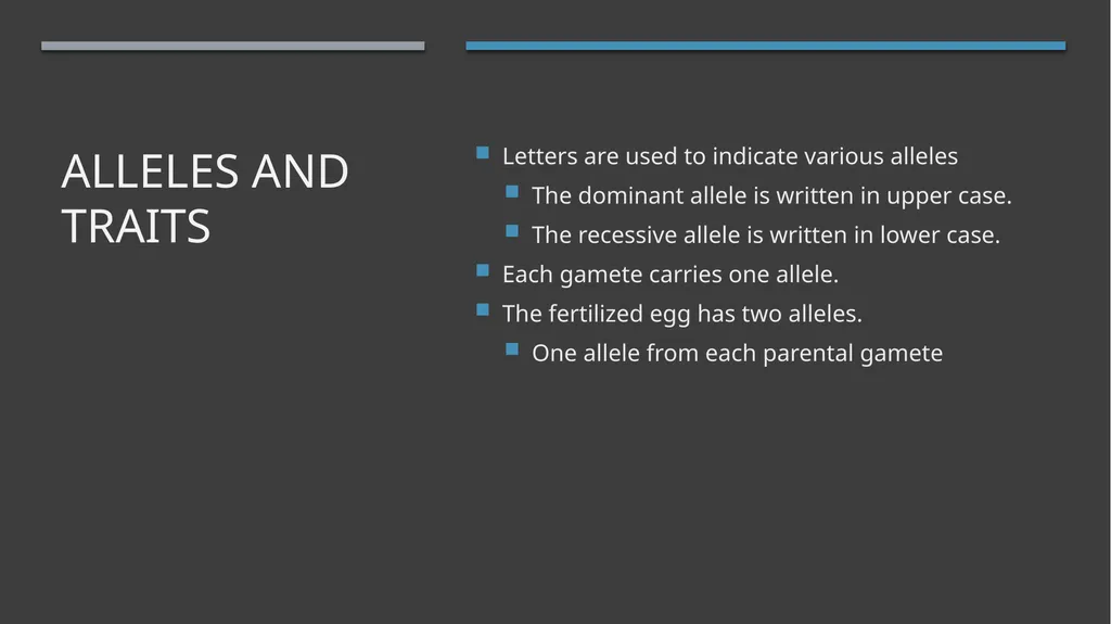 The Reproductive System and Human Genetics - slide 52 of 56