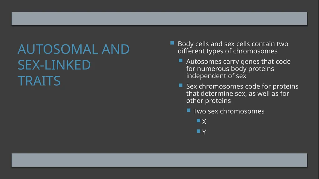 The Reproductive System and Human Genetics - slide 48 of 56