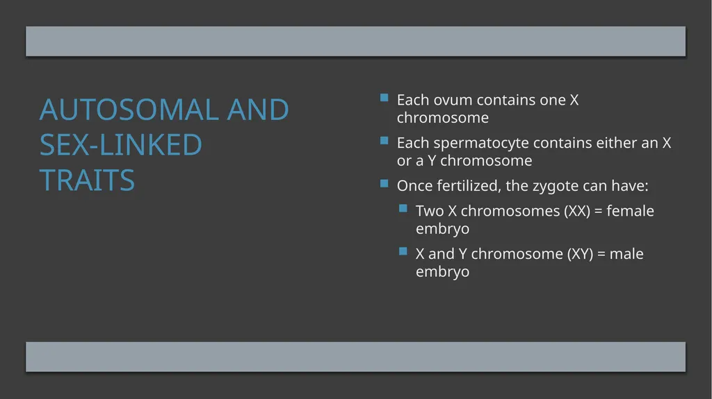 The Reproductive System and Human Genetics - slide 49 of 56