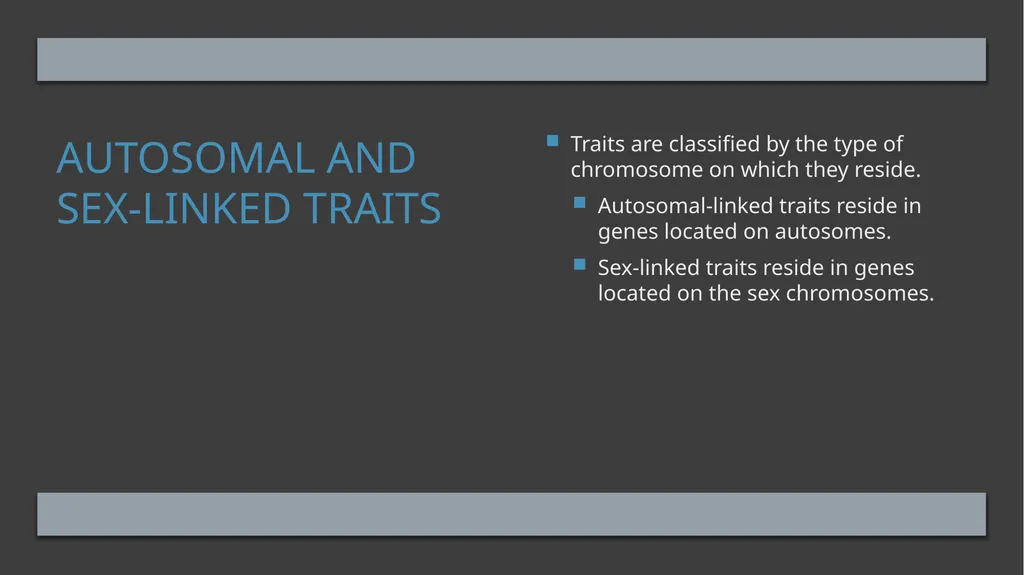 The Reproductive System and Human Genetics - slide 50 of 56