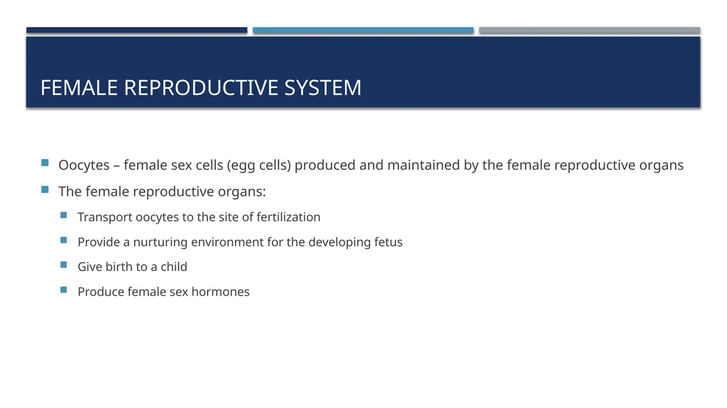 The Reproductive System and Human Genetics - slide 8 of 56