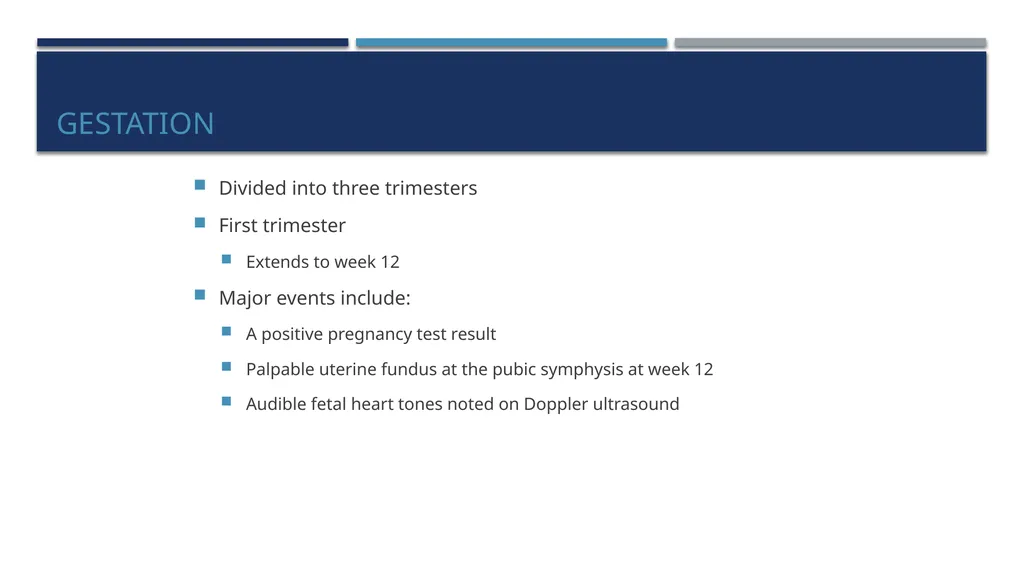 The Reproductive System and Human Genetics - slide 32 of 56