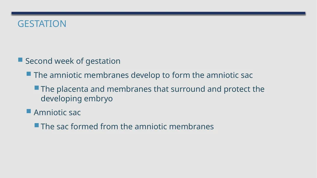 The Reproductive System and Human Genetics - slide 33 of 56