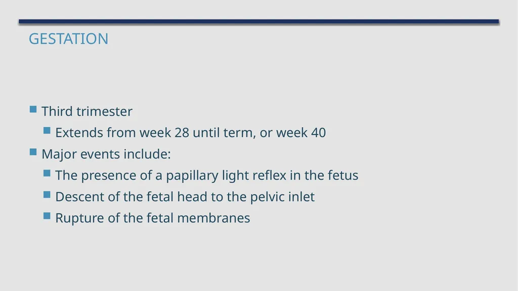 The Reproductive System and Human Genetics - slide 37 of 56