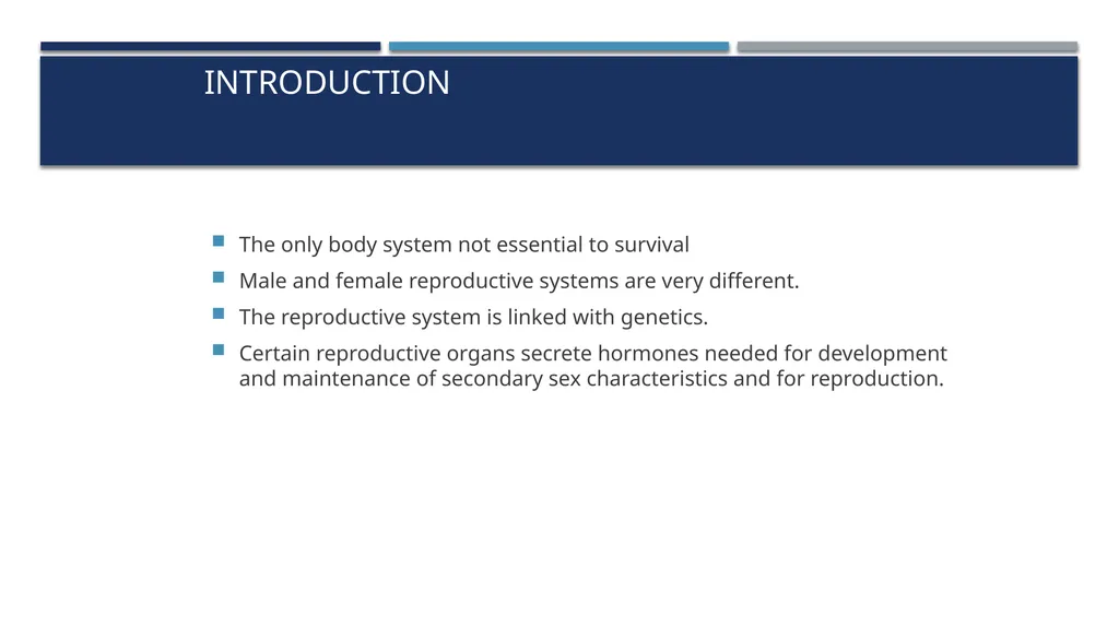 The Reproductive System and Human Genetics - slide 6 of 56
