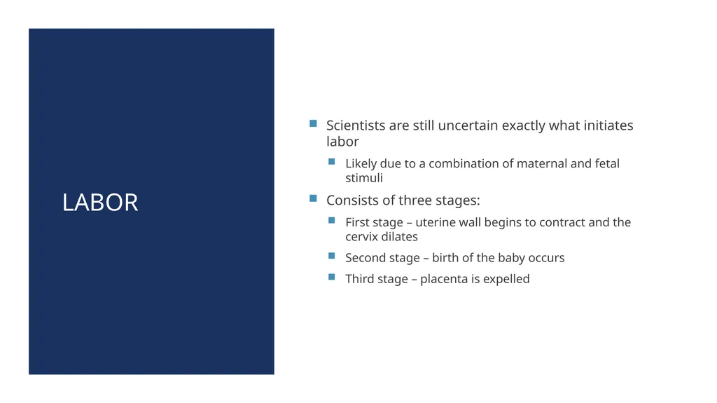 The Reproductive System and Human Genetics - slide 38 of 56