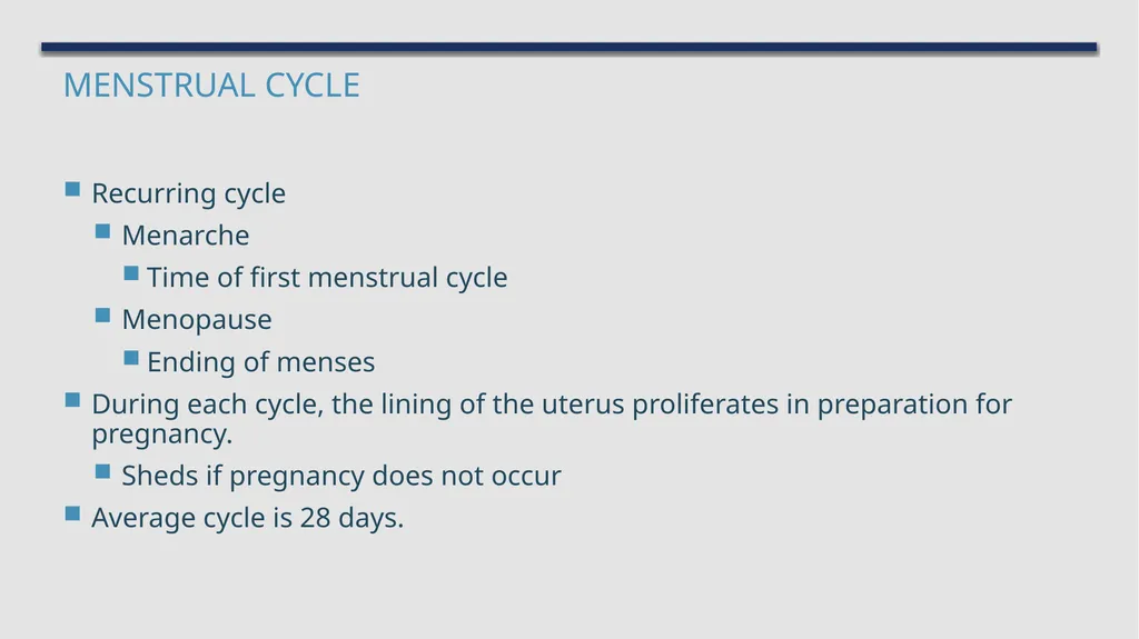 The Reproductive System and Human Genetics - slide 16 of 56