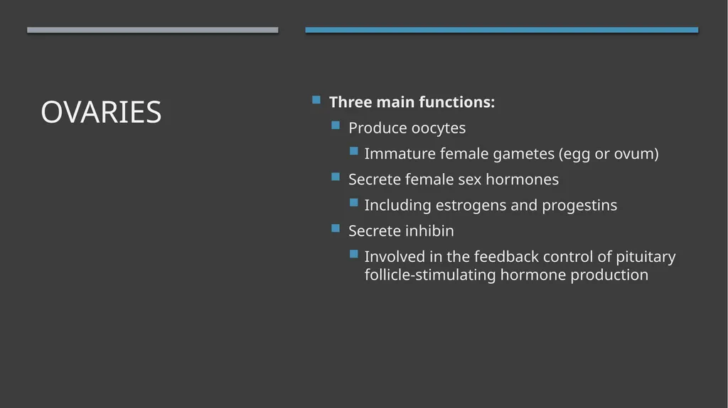 The Reproductive System and Human Genetics - slide 10 of 56