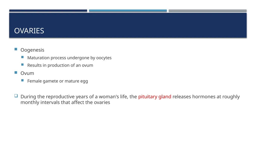 The Reproductive System and Human Genetics - slide 11 of 56